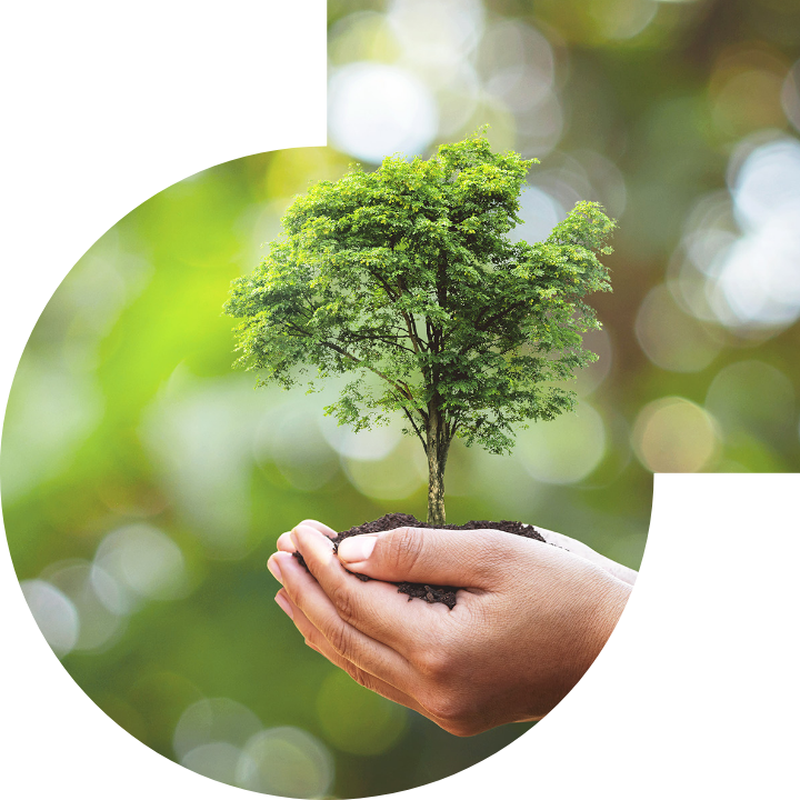 关怀人类、文化、环境与社会